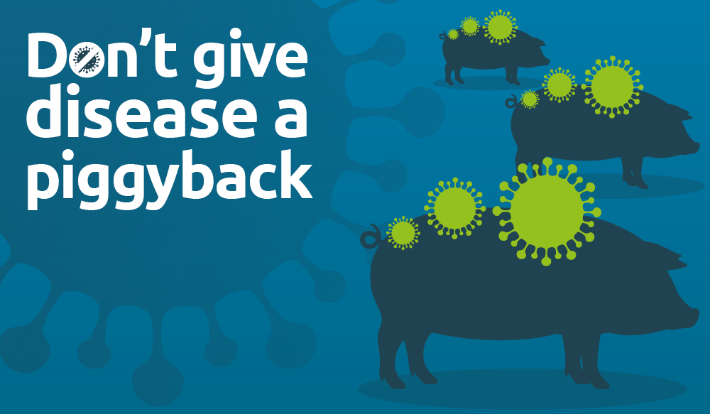 Blue infographic with the words: Don't give disease a piggyback.